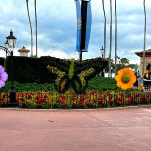 Meet your Posher, Cori